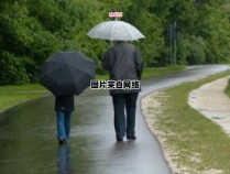 暴风雨来临时，楼下花香依旧 暴雨来临风满楼