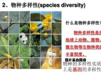 生物特征辨识方法的多样性