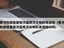 黄河和底格里斯河是两河文明的发源地（黄河和底格里斯河是两河文明的发源地对吗）