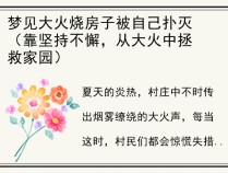 梦见大火烧房子被自己扑灭（靠坚持不懈，从大火中拯救家园）