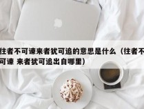 往者不可谏来者犹可追的意思是什么（往者不可谏 来者犹可追出自哪里）