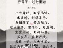 黄橙相间，清澈区别