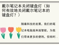 戴尔笔记本关闭键盘灯（如何有效地关闭戴尔笔记本的键盘灯？）