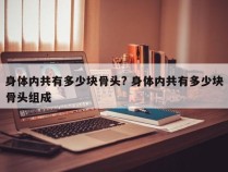 身体内共有多少块骨头? 身体内共有多少块骨头组成