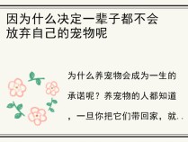 因为什么决定一辈子都不会放弃自己的宠物呢