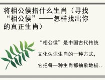 将相公侯指什么生肖（寻找“相公侯”——怎样找出你的真正生肖）