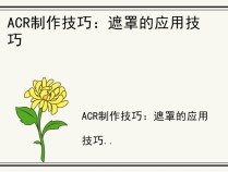 ACR制作技巧：遮罩的应用技巧