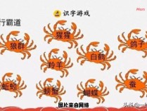 螃蟹的中文拼音带声调如何书写