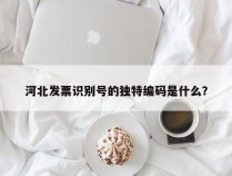 河北发票识别号的独特编码是什么？