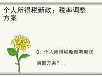 个人所得税新政：税率调整方案