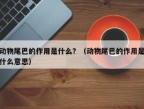 动物尾巴的作用是什么？（动物尾巴的作用是什么意思）