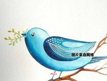 小鸟的绘画方法简单却绝美