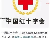红十字会的职责和使命是什么？