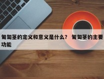 匍匐茎的定义和意义是什么？ 匍匐茎的主要功能