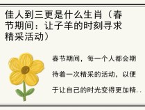 佳人到三更是什么生肖（春节期间：让子羊的时刻寻求精采活动）