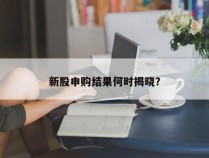 新股申购结果何时揭晓？