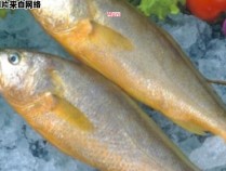 小黄花鱼的制作技巧与口味调配
