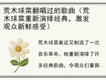 荒木球菜翻唱过的歌曲（荒木球菜重新演绎经典，激发观众新鲜感受）