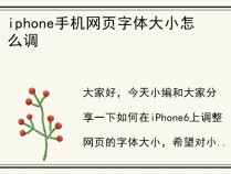 iphone手机网页字体大小怎么调