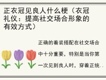 正衣冠见良人什么梗（衣冠礼仪：提高社交场合形象的有效方式）