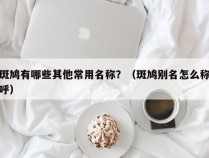 斑鸠有哪些其他常用名称？（斑鸠别名怎么称呼）