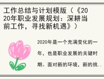 工作总结与计划模版（《2020年职业发展规划：深耕当前工作，寻找新机遇》）