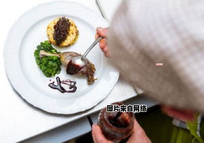 乌龟为什么不吃食物？（乌龟为什么不吃食物会饿死吗）