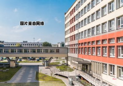 沈阳理工大学毕业生就业情况如何？ 沈阳理工大学毕业就业方向