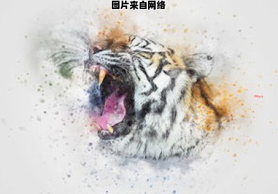 猫咪可以喝舒化奶吗？