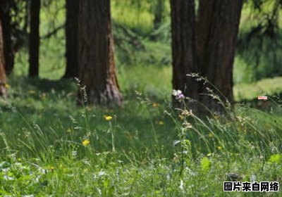 休耕对土壤肥力恢复的重要性 休耕能提高土壤肥力吗