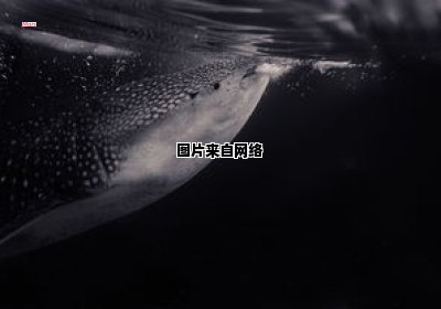 原始海洋中孕育原始生命的先驱是谁？（原始生命在原始海洋中诞生的主要原因是）