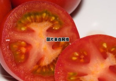 西瓜虫的食物来源是什么（西瓜虫的原名叫什么）