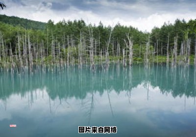广东境内有哪些适合泡温泉的景点?（广东泡温泉推荐）