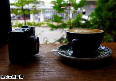 绿茶与咖啡能否同时饮用呢？
