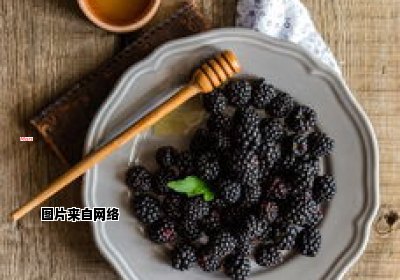 探秘潮汕功夫茶的品种与特点（探秘潮汕功夫茶的品种与特点图片）