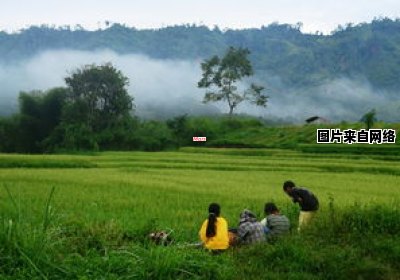 武陵农场游玩指南（武陵农场在哪里）