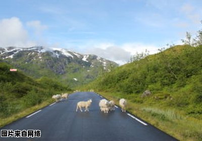 武陵农场游玩指南（武陵农场在哪里）