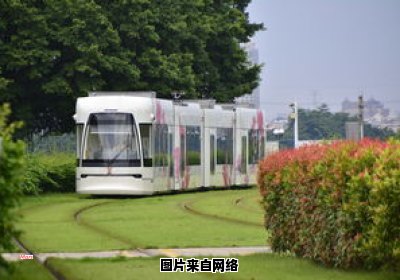广州有轨电车一号线详细线路展示（广州有轨电车1号线线路图视频）