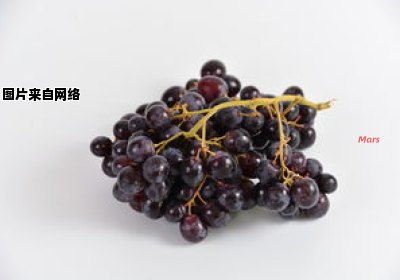 葡萄的构词法有哪些？ 葡萄的葡的结构是什么结构