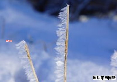 渥太华的气温如何随着四季变化？ 渥太华一年四季的气温如何