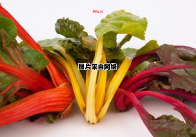 野豌豆尖的健康益处