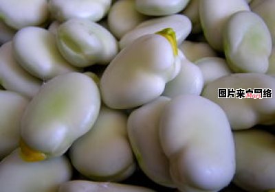 佳茵益生菌的功效与作用是令人惊叹的