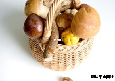 白切乌贼烹饪全攻略