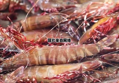 红爪虾的营养价值与健康益处 红爪的虾好还是白爪的虾好