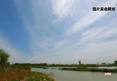 高青大芦湖自然风光区