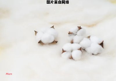 人棉是一种什么成分的面料？