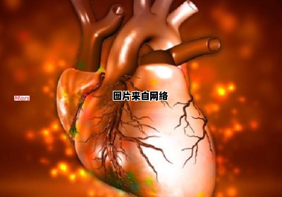 心脏缺血的成因及其影响