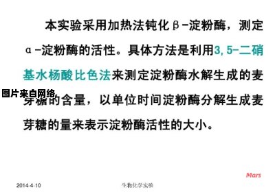 淀粉酶的高水平活性是如何产生的