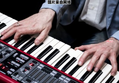 电子琴与钢琴的不同之处有哪些？