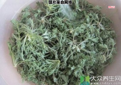 茵陈的益处与功效